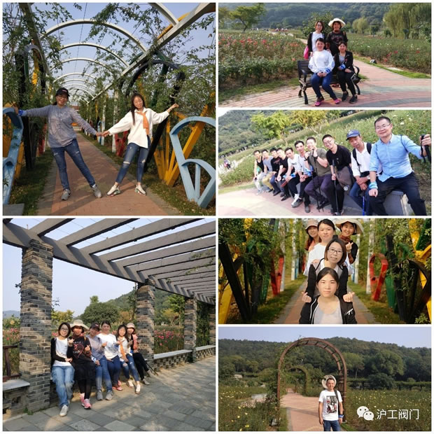 上海滬工閥門廠2019年秋季徒步毅行活動(dòng)(圖7)