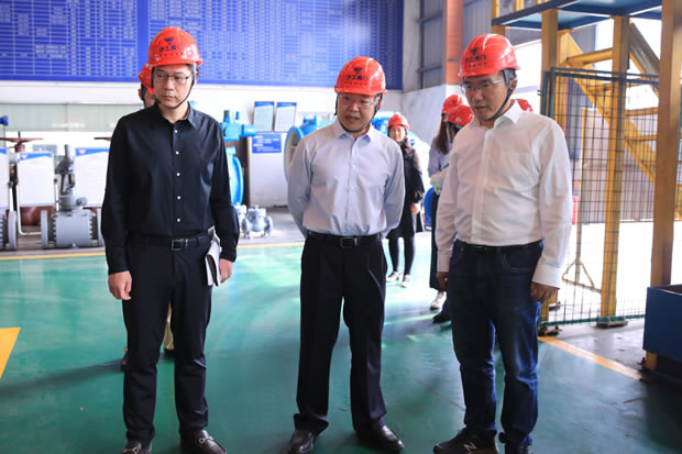 ζ^(q)(jng)ίI{(dio)ϺyTSD3