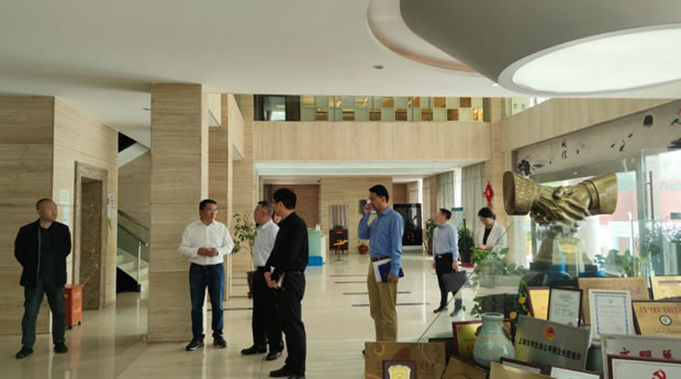 ζ^(q)(jng)ίI{(dio)ϺyTSD1